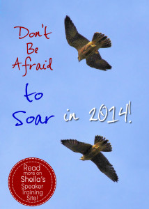 Don?t Be Afraid to Soar in 2014!
